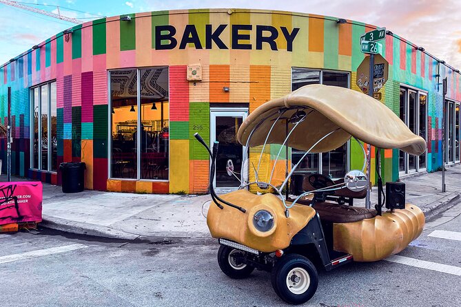 1 Hour Lady Buggy Art Tour Experience in Wynwood - Why the open vehicle helps with photographs