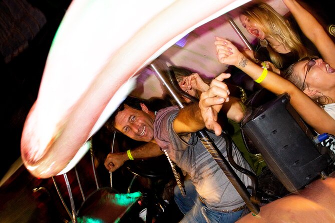 1 Hour Lady Buggy Art Tour Experience in Wynwood - Choosing between daytime and late-night rides