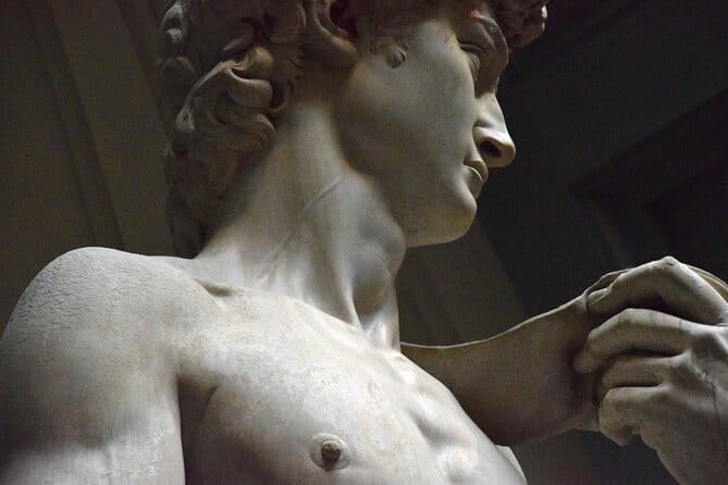 Accademia Gallery Entrance Ticket with Priority Access - Why David deserves more than a quick photo