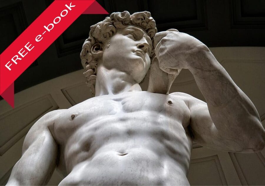 Accademia Gallery Priority Entry Ticket with e-Book - What the reserved entry saves you