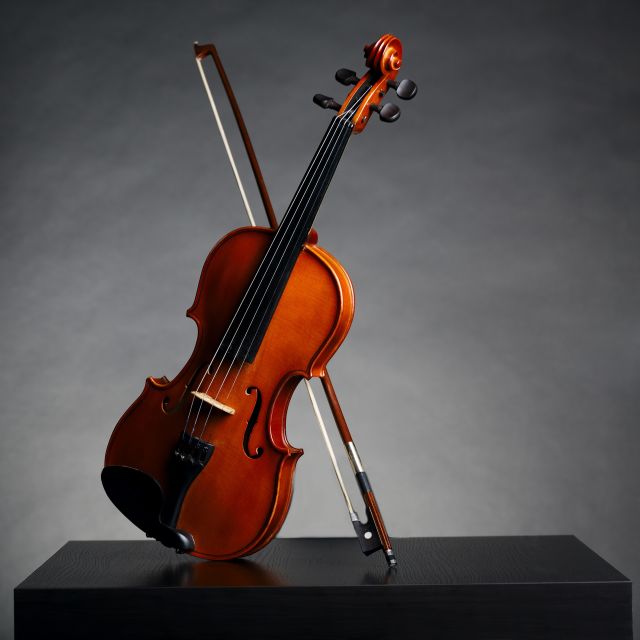 Afternoon Access to Accademia Gallery: David & Stradivarius - Key points to know before booking