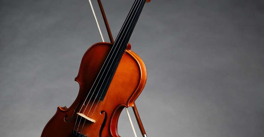 Afternoon Access to Accademia Gallery: David & Stradivarius - Meeting your guide at 3 PM