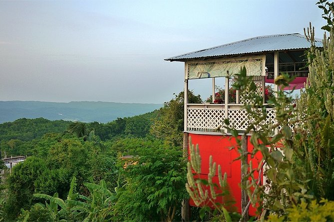 Ahhh Ras Natango Gallery and Garden Private Transfer - What the private format changes