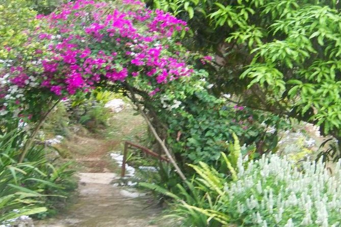 Ahhh Ras Natango Gallery and Garden Private Transfer - Weather, walking, and useful planning