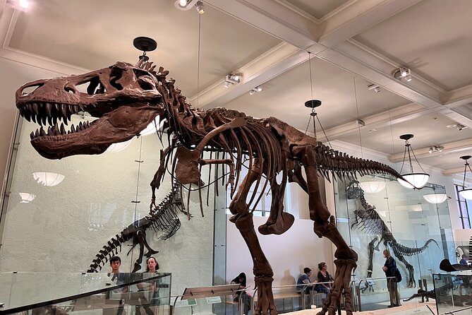 American Museum of Natural History and MOMA Combo Tickets - What the package includes, and what it leaves to you