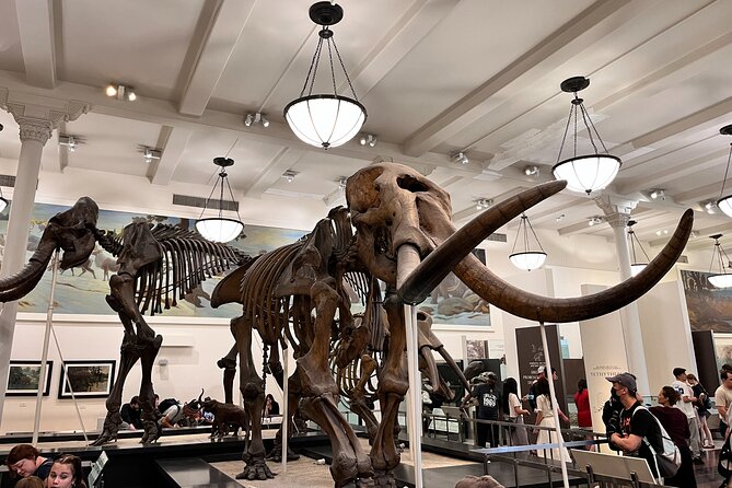 American Museum of Natural History and MOMA Combo Tickets - Should you book the MoMA and natural history combo?