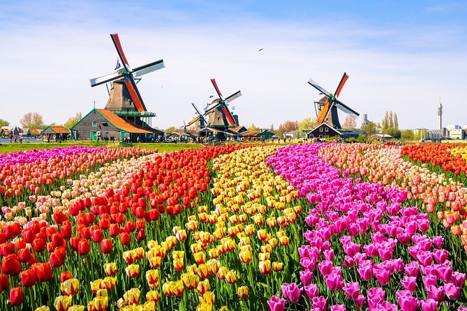 Amsterdam Pass: 45+ Things To Do - Includes Rijksmuseum - Day trips beyond the city center