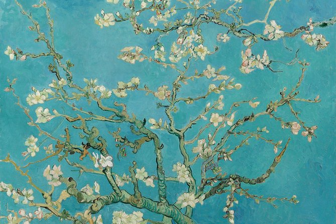Amsterdam: Van Gogh Museum Entry & 75 minute City Canal Cruise - Snacks, drinks, and the optional box