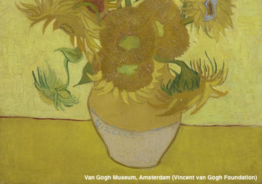 Amsterdam: Van Gogh Museum Guided Tour with Entry - Meeting your guide at Paulus Potterstraat 7