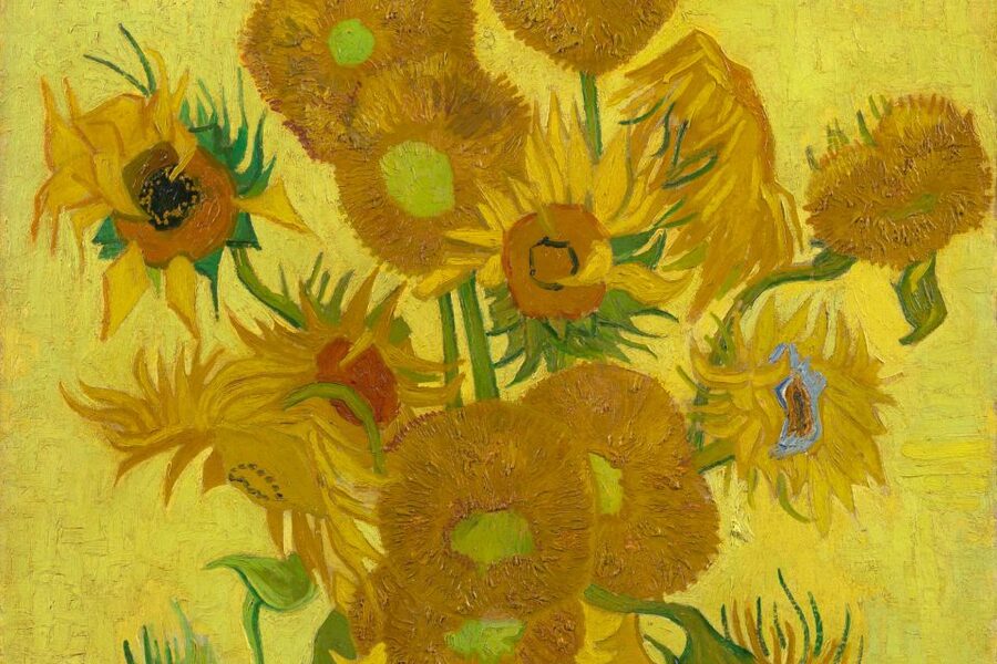 Amsterdam: Van Gogh Museum Ticket - Comfort, lockers, and accessibility