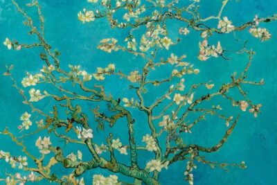 Van Gogh Museum Ticket and City Canal Cruise