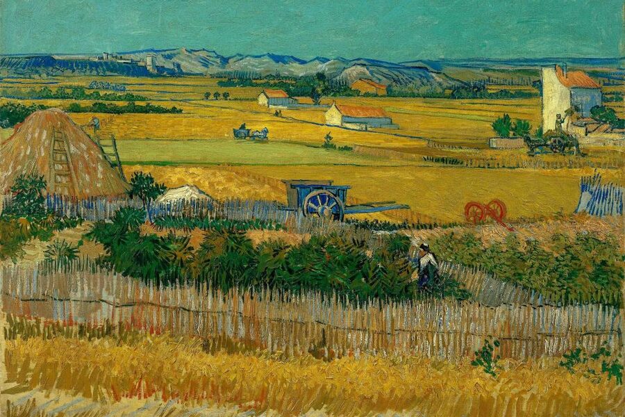 Amsterdam: Van Gogh Museum Ticket & Canal Cruise - Key points to know before you book