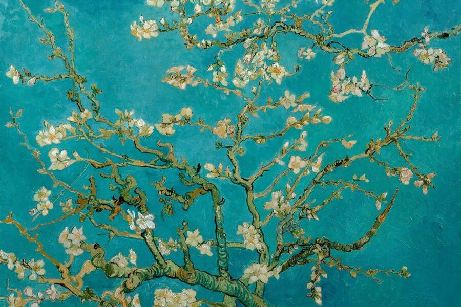 Amsterdam: Van Gogh Museum Ticket & Canal Cruise - Where the package needs care