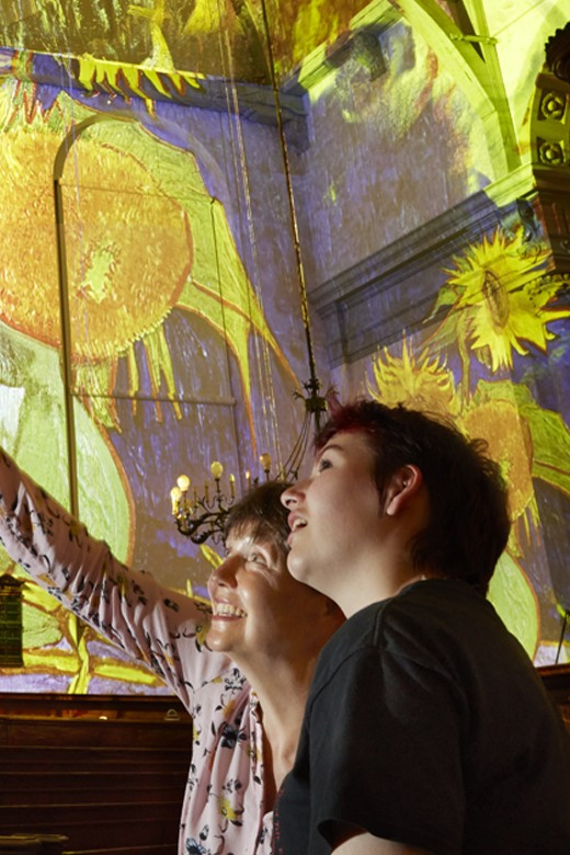 Amsterdam: Van Gogh & Rembrandt Captivating Experience Entry - Is the $20 ticket good value?