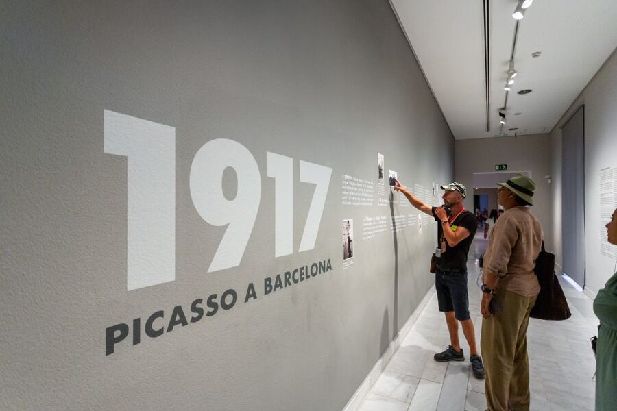 Barcelona: Picasso Museum Skip-the-Line Guided Tour - Entering the Picasso Museum without the ticket queue