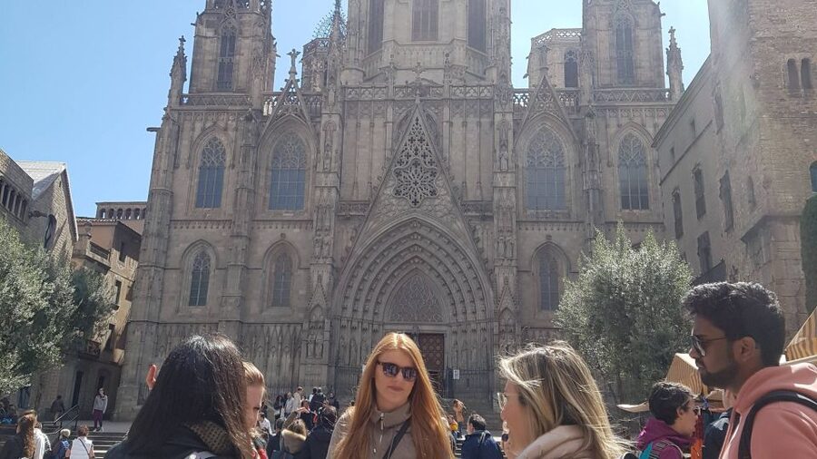 Barcelona: Tapas & Picasso Museum Guided Walking Tour - Who should book this Barcelona tour?