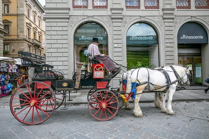 Best of Florence Full-Day Combo Tour including Uffizi & Accademia Galleries - Two museums, one useful story of Florence