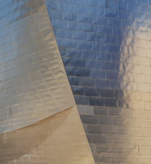 Bilbao, Ribera market and Guggenheim from San Sebastian - Entering the Guggenheim Museum