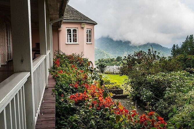 Blue Mountain Coffee, Bob Marley and Art Tour from Montego Bay - Bob Marley Museum in Kingston