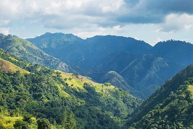 Blue Mountain Coffee, Bob Marley and Art Tour from Montego Bay - Craighton Estate and Jamaican Blue Mountain Coffee
