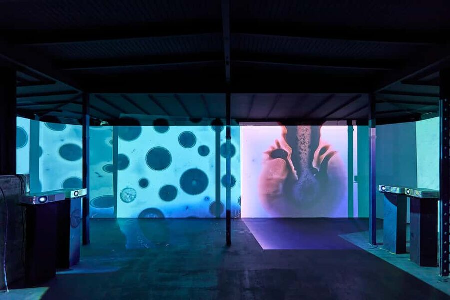 Budapest: Light Art Museum Skip-the-Line Entry Ticket - What the art feels like in practice