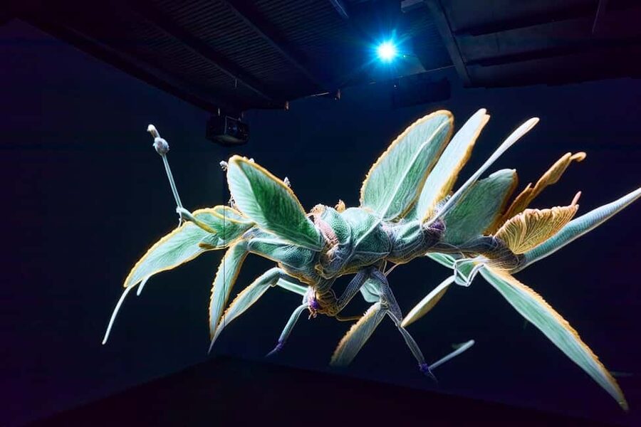 Budapest: Light Art Museum Skip-the-Line Entry Ticket - Who should book the Light Art Museum?