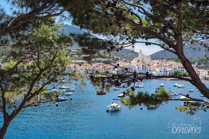 Cadaqués & Dalí House-Museum day trip from Girona (tickets included) - Who will enjoy this experience most