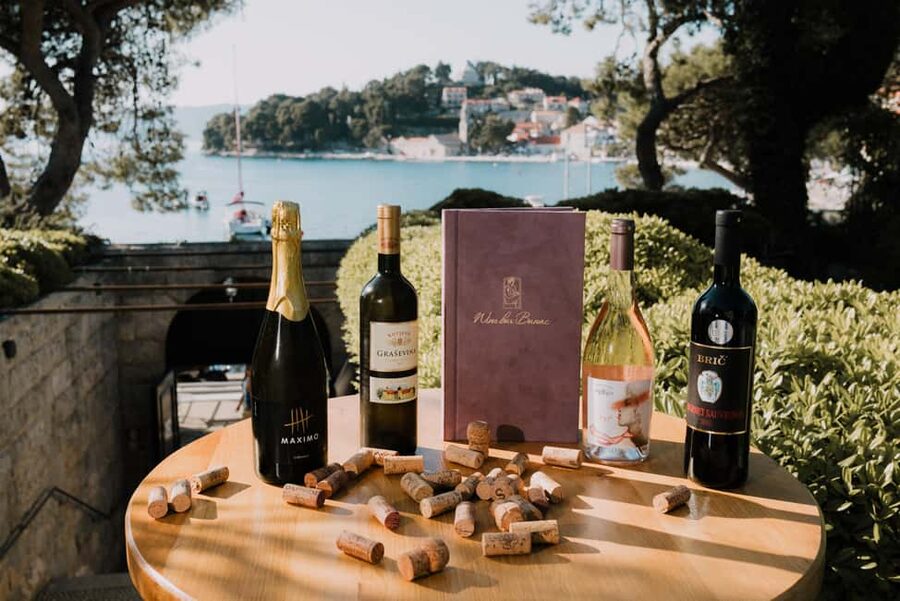 Cavtat: Guided Tour through Banac Gallery with Expert Guide - Why Villa Banac makes this Cavtat tour different