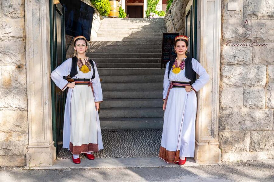 Cavtat: Guided Tour through Banac Gallery with Expert Guide - Who should book this experience