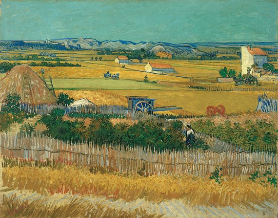 Combo Ticket: Van Gogh Museum Ticket and 1-Hour Canal Cruise - The ticket problem you should take seriously
