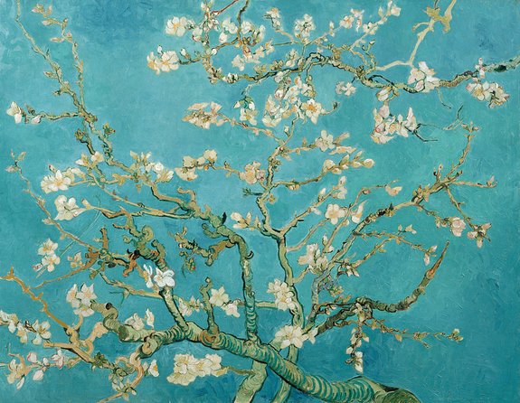 Combo Ticket: Van Gogh Museum Ticket and 1-Hour Canal Cruise - The canal cruise requires planning
