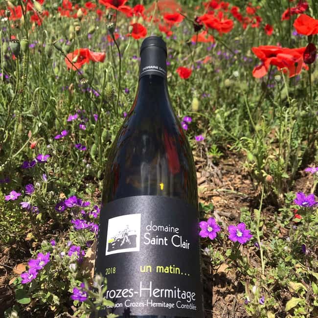 Crozes-Hermitage Guided Tour & Tasting - Understanding Syrah, Marsanne, and Roussanne