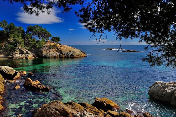 Dali Museum and Costa Brava Small Group Tour - What the guides add to the experience