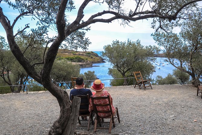 Dali Museum, House & Cadaques Small Group Tour from Barcelona - Who will enjoy this tour most