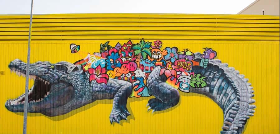 Darwin: 3-Hour Outback Gourmet Food & Art Tour - Dietary needs, comfort, and the walking pace