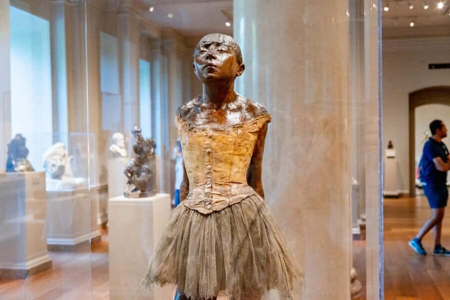 DC Masterpieces: National Gallery & Portrait Gallery Tour - Walking, bags, photography, and access
