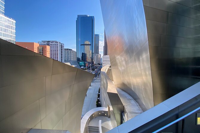 Downtown LA Arts Tour with MOCA, The Broad, and Infinity Room - Who should book this walking tour?