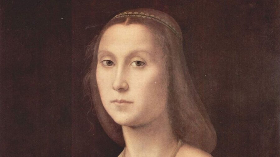 Ducal Palace of Urbino & Marche National Gallery Guided Tour - Should you book the Ducal Palace tour?