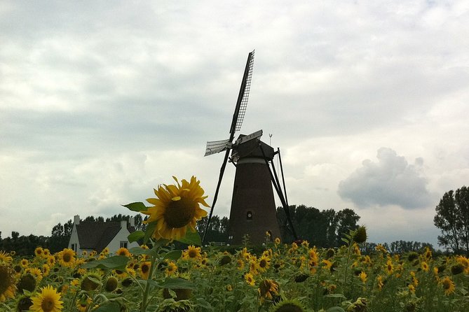 Eindhoven: E-Fatbike Tour In The Footsteps of Vincent van Gogh - Churches, artists, and the old Eindhoven views
