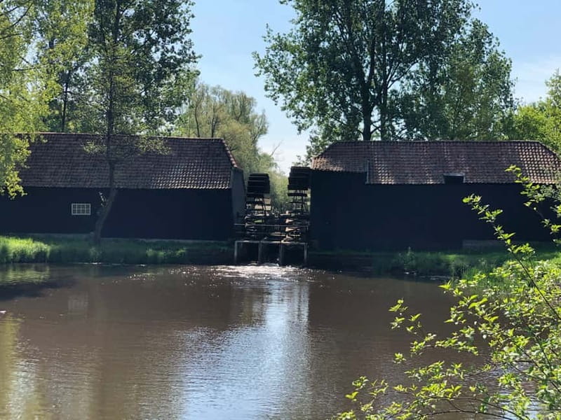 Eindhoven: E-Fatbike Tour The Footsteps Of Vincent van Gogh - Who should book this ride