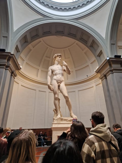 Explore Accademia Gallery on Free Museum Day - What the free museum day changes