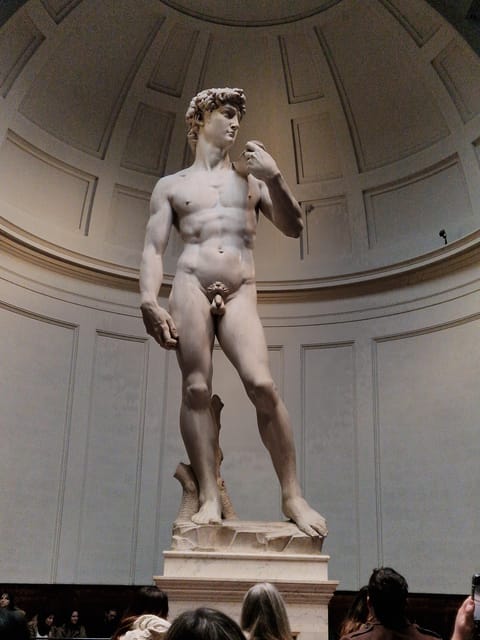 Explore Accademia Gallery on Free Museum Day - A small group makes the format work