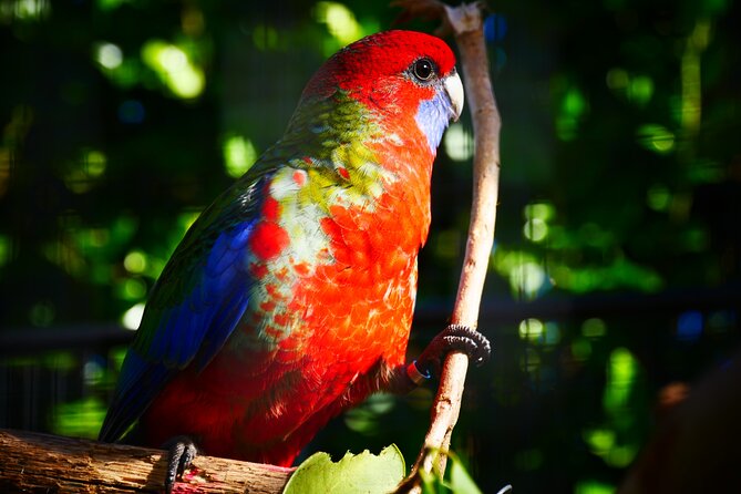 Explore gardens & galleries filled with incredible art, Matakana - Is the $40 admission good value?