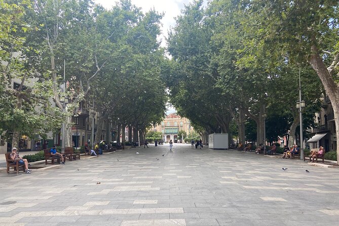 Figueres Walking Tour with Guided Visit to the Dalí Museum - Should You Book the Figueres Dalí Tour?