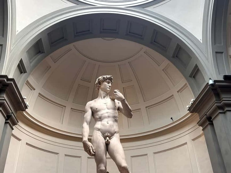 Florence:Accademia + David Entrance Ticket +Agudio Guide APP - The Gipsoteca and its plaster figures
