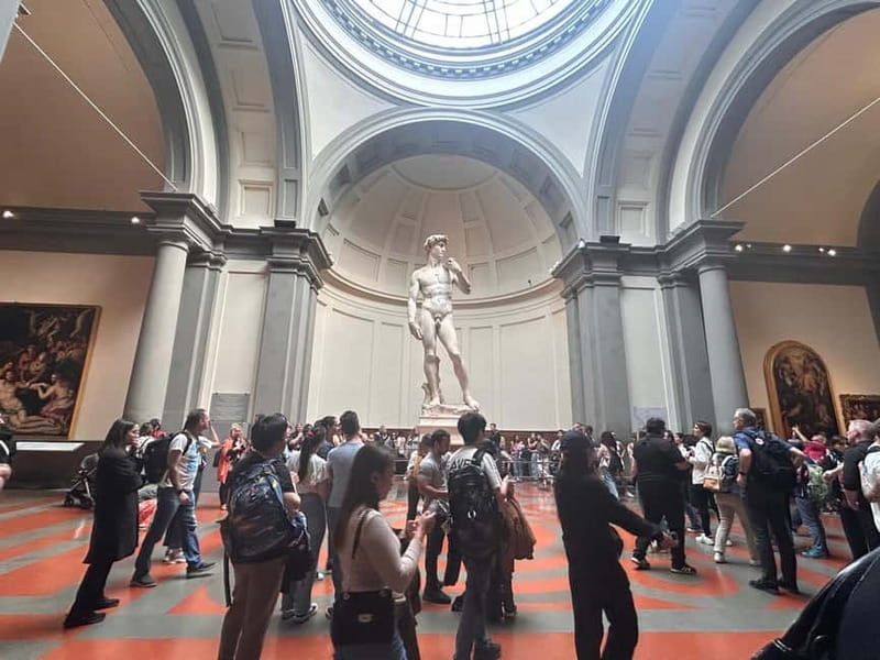 Florence:Accademia + David Entrance Ticket +Agudio Guide APP - Medici instruments and three Stradivarius pieces