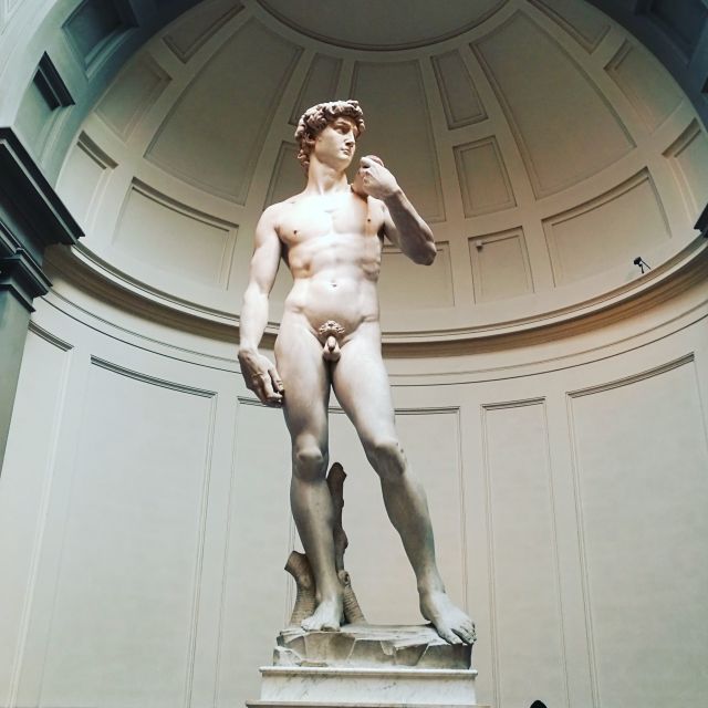 Florence: Accademia Gallery Guided Experience - Entering the Accademia without the usual ticket line