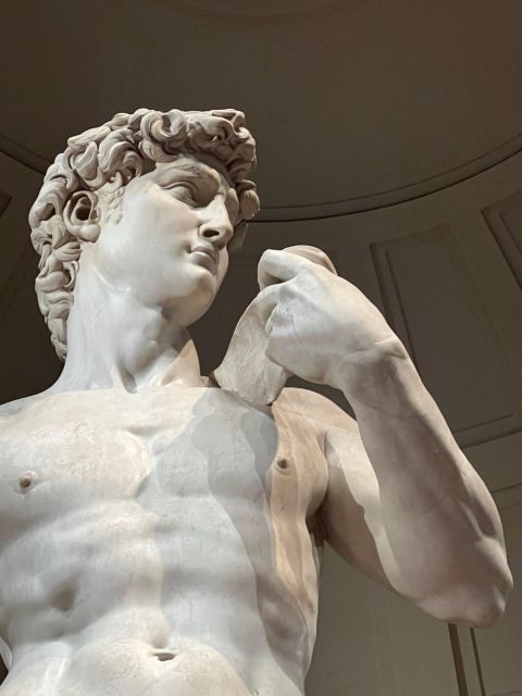 Florence: Accademia Gallery Guided Tour and Priority Entry - What the guide adds to the experience
