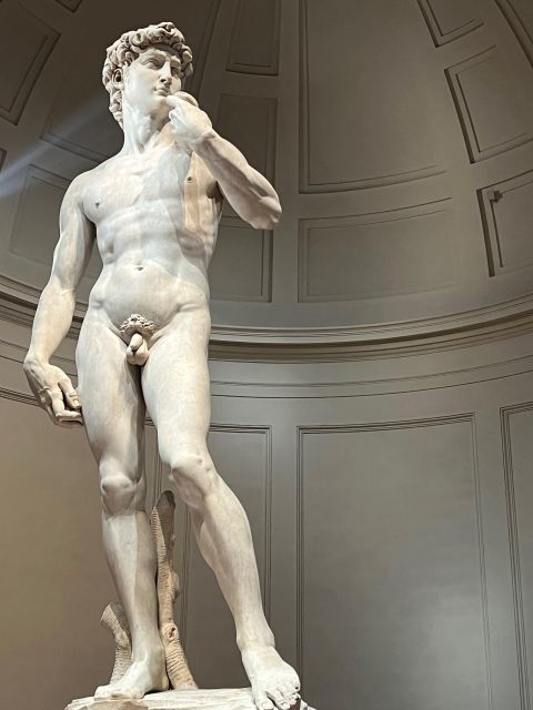 Florence: Accademia Gallery Guided Tour and Priority Entry - Meeting the guide on Via Ricasoli