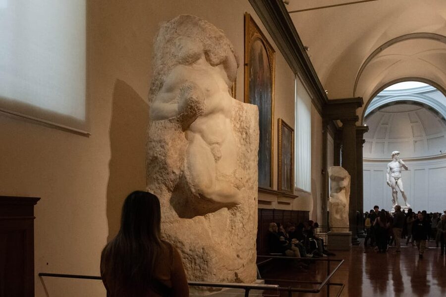 Florence: Accademia Ticket & Audio Guided Tour with Host - Who should book this Accademia visit?